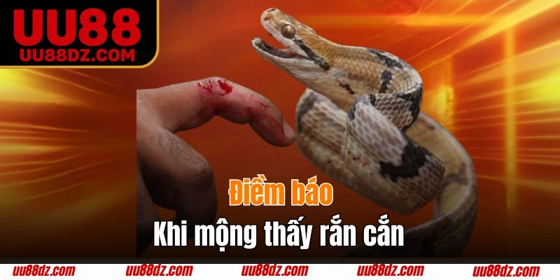 Điềm báo khi mộng thấy rắn cắn