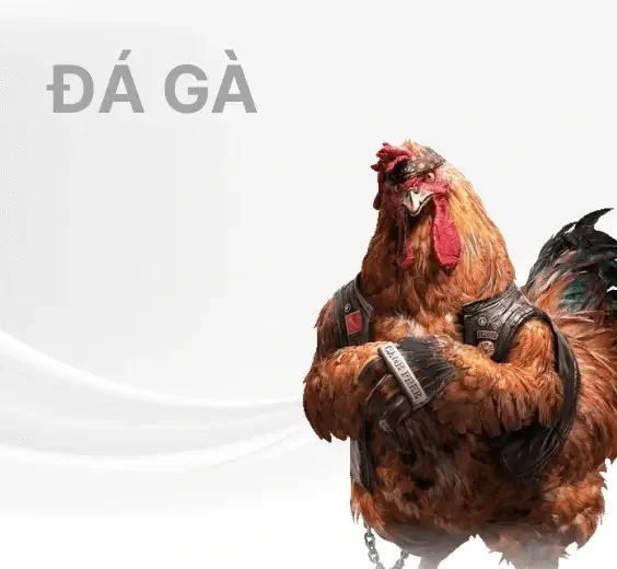 UU88 đá gà